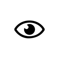 Vision